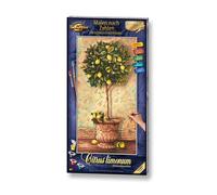Schipper 609220397 - Dipingere Con I Numeri - Citrus Limonum - Nuovo