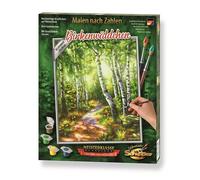 Schipper 609240801 Dipingere con i Numeri, foreste di Betulla, Pittura per Adulti, pennelli e Colori acrilici, 24 x 30 cm