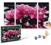 Schipper 609260603 - Dipingi con i Numeri - Orchidee (Trittico), 50x80 cm