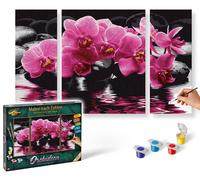 Schipper 609260603 - Dipingi con i Numeri - Orchidee (Trittico), 50x80 cm-medium