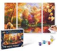 Schipper 609260650 - Dipingere con i Numeri, Indian Summer 41 x 51 cm [Importato da Germania]