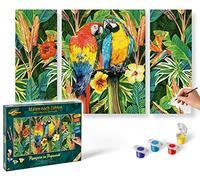 Schipper- Uccello Numeri, pappagalli nella Foresta pluviale - Immagini da dipingere per Adulti, con Pennello e Colori acrilici, trittico, 50 x 80 cm, Multicolore, Medio, 609260853