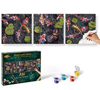 Malen nach Zahlen - Koi Juwel im Fischteich (Triptychon)