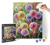 Schipper Dipingere con i Numeri - Premium: Fuochi d'Artificio Floreali - 1 pz.