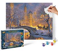 Schipper Malen nach Zahlen - Stille Nacht im Central Park