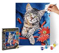 Schipper Numeri-Gatto nello Zaino-Immagini per dipingere per Adulti, con pennelli e Colori acrilici, 24 x 30 cm, Multicolore, 609240842