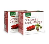 SCHISANDRA CARDO MARIANO 15AMP