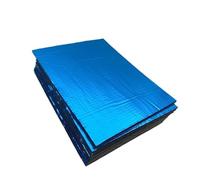 Schiuma di alluminio autoadesiva 10 pz/set Cuscinetti isolanti autoadesivi for isolamento acustico Foglio di alluminio for modifica cofano e porta for la riduzione del rumore(10PCS blue)