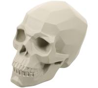 Schizzo Assistenza All'insegnamento Del Cranio Scultura Di Teschio Resina