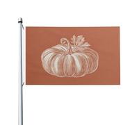 Schizzo di una zucca, bandierine per la casa, 0,9 x 1,5 m, striscione con occhielli per interni ed esterni, decorazioni per la casa