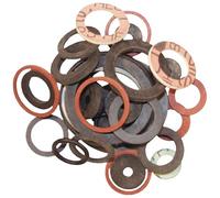 Schläfer 186510 | Kit Guarnizioni Idrauliche Piatte, Guarnizioni idraulica miste 3/8,1/2,3/4 (pollice), Guarnizioni Coniche, Guarnizione in Gomma rubinetti, Guarnizione in Fibra, Conf. 30Pz