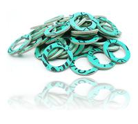 Schläfer | Guarnizioni idrauliche verdi 3/4" pollice Guarnizioni Piatte 100 Pz.