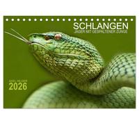 SCHLANGEN. JÄGER MIT GESPALTENER ZUNGE (Tischkalender 2026 DIN A5 quer), CALVENDO Monatskalender: Für das Projekt Schlangen reiste der Fotograf Axel ... zu den verschiedensten Teilen unserer Erde.
