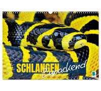 Schlangen: Zupackend (Wandkalender 2026 DIN A3 quer), CALVENDO Monatskalender: Boa, Python, Anakonda: schlanke Reptilien, vielfältige Würgeschlangen