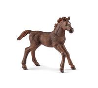 SCHLEICH- English Thoroughbred Foal Horse Club Puledro Purosangue Inglese, Multicolore, 13857