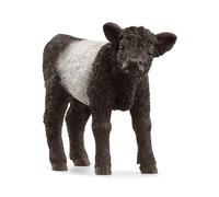schleich 13969 Vitello Galloway, da 3 anni, FARM WORLD - Figura, 3 x 8 x 6 cm