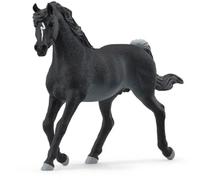 Schleich Horse Club Arabo 13981 Cavallo Cavalli