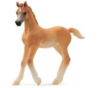schleich 13984 Puledro arabo, da 5 anni, HORSE CLUB - Figura, 2 x 8 x 8 cm