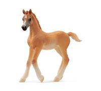 schleich 13984 Puledro arabo, da 5 anni, HORSE CLUB - Figura, 2 x 8 x 8 cm
