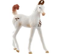 schleich 14896 Potro Marwari, da 5 anni, HORSE CLUB - figura, 3 x 7 x 8 cm