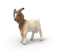 Schleich Capra Boera 14929