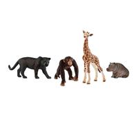 Schleich - Kit bsico Wild Life - 72162 - Gamma Wild Life