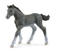 Schleich HORSE CLUB 13944 5 anno/i Grigio Trakehner Foal