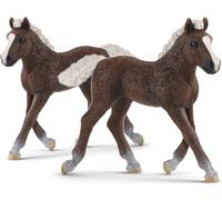 SCHLEICH HORSE CLUB puledro della Foresta Nera - figurina
