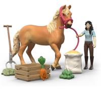 Schleich HORSE CLUB | Set di assistenza di Emily 42797 | 15 pezzi