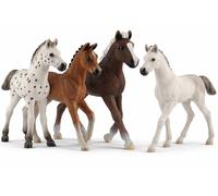 Schleich Set di 4 puledri Holsteiner 13860, Hannoveraner 13818, Foresta Nera 13899 e Puledro Knabstrupper 17076 (Horse Club)