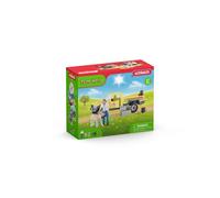 schleich Veterinarian visit at the farm NEW