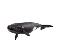 schleich 14878 Ballena franca glacial, da 3 anni, WILD LIFE - figura, 10 x 19 x 5 cm