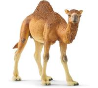 schleich WILD LIFE | Dromedario 14832 |figura animale dettagliata e realistica |gioco da zoo educativo |regalo per bambine e bambini | decorazione per compleanno | giocattolo da 3 anni |14 x 4 x 10 cm