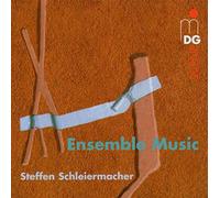 Schleiermacher, Steffen - Ensemble Works