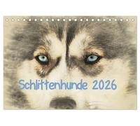Schlittenhunde 2026 (Tischkalender 2026 DIN A5 quer), CALVENDO Monatskalender: Der Kalender ist im kunstvollen Aquarell-Stil gehalten, so dass jedes einzelne Bild einem kleinen Kunstwerk gleicht.