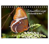 Schmetterlinge - zarte Geschöpfe der Natur (Tischkalender 2026 DIN A5 quer), CALVENDO Monatskalender: Natürliche Motive aus der Welt der wunderschönen Insekten