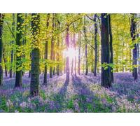 Puzzle campanule blu nel bosco di SCHMIDT - 1000 pezzi