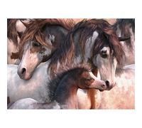 schmidt Cavallo Pinto puzzle 1000 pezzi 1 St
