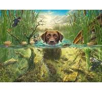 Schmidt Mark Fredrickson Hundeliebe brauner Labrador im kühlen Nass 1000 58572