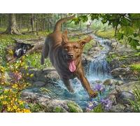 Schmidt Mark Fredrickson Hundeliebe Frühlingsspaziergang con Labrador 58559