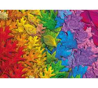 Puzzle foglie colorate 1500 pezzi