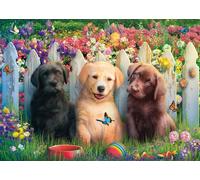 Schmidt - Puzzle Scena di un cucciolo carino - 1000 Pezzi