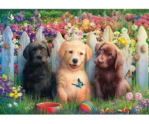 Schmidt - Puzzle Scena di un cucciolo carino - 1000 Pezzi