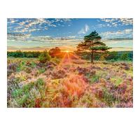 schmidt Puzzle Tramonto su un pendio 1000 pezzi 1 St