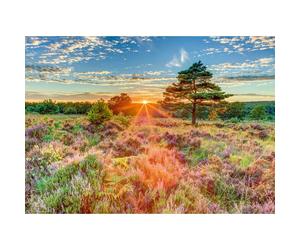 schmidt Puzzle Tramonto su un pendio 1000 pezzi 1 St