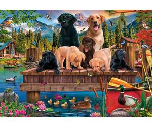 Schmidt - Puzzle Una famiglia di cani al lago - 1000 Pezzi