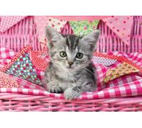 Schmidt - Puzzle 3x48 I miei cuccioli preferiti - 40-99 Pezzi