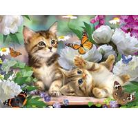 Schmidt - Puzzle Gattini giocosi - 150 Pezzi