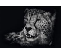 Schmidt - Puzzle Rader: Gepard - 1000 Pezzi