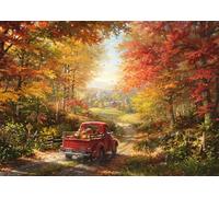 Schmidt Spiele 58640 A Casa, Blend Cota, puzzle da 1000 pezzi fatto di Grass Board